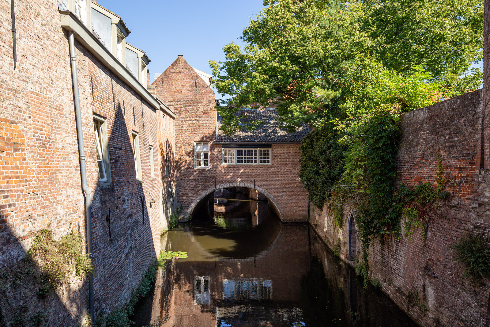 De Binnendieze bij de Molenstraat in Den Bosch