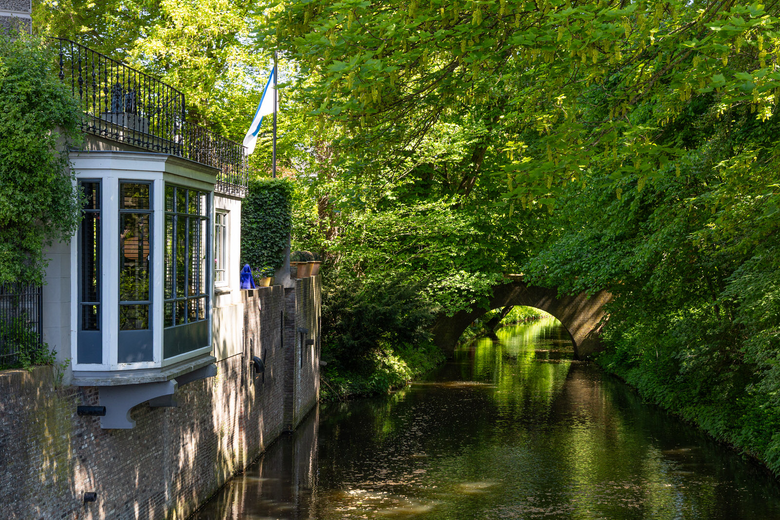 De Binnendieze bij de Triniteitstraat in Den Bosch